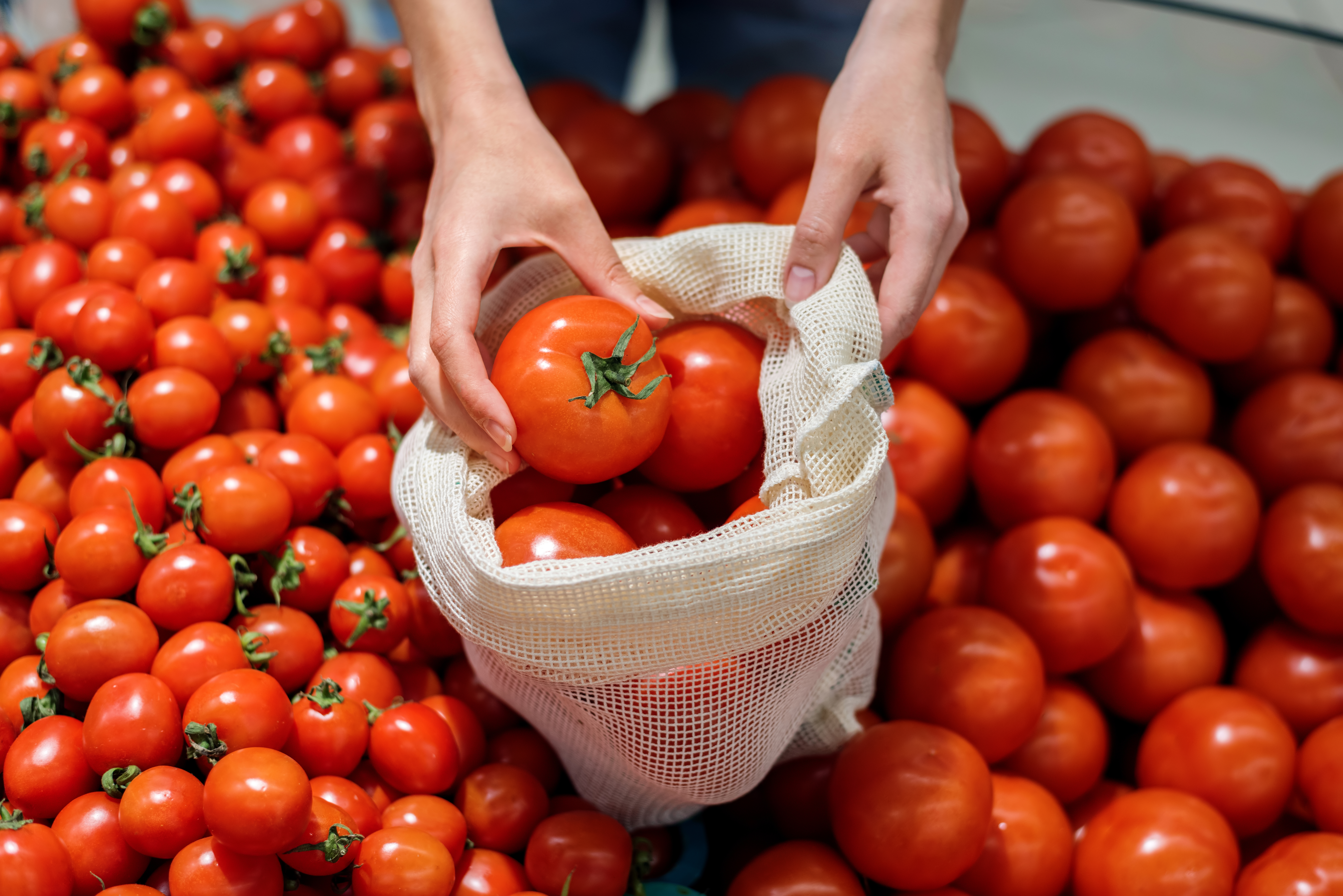 Fresh Tomato Trade Shake-Up: Morocco Overtakes Spain