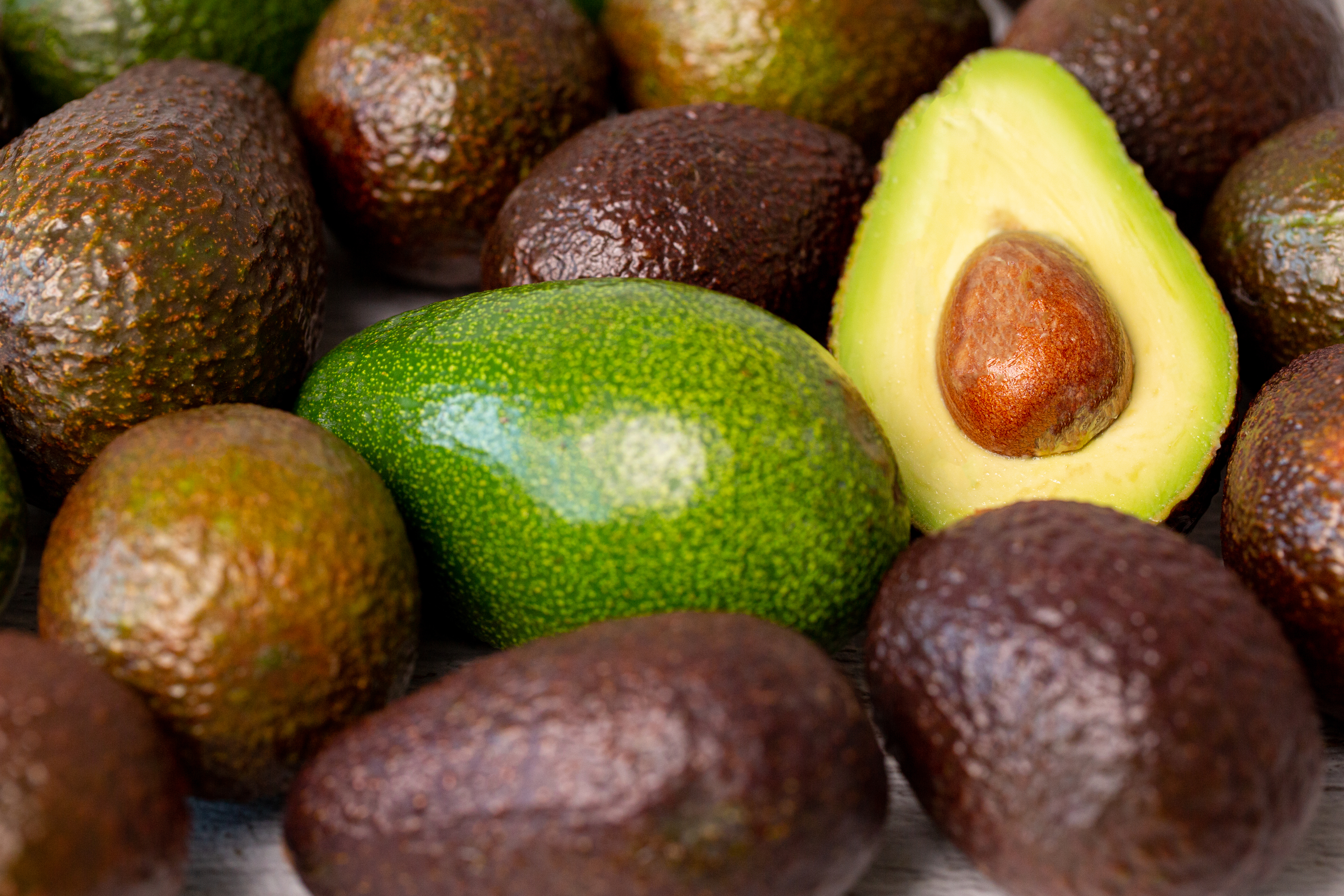 Global Avocado Market – Autumn 2025: Oversupply, Shifting Origins, and Regional Outlooks