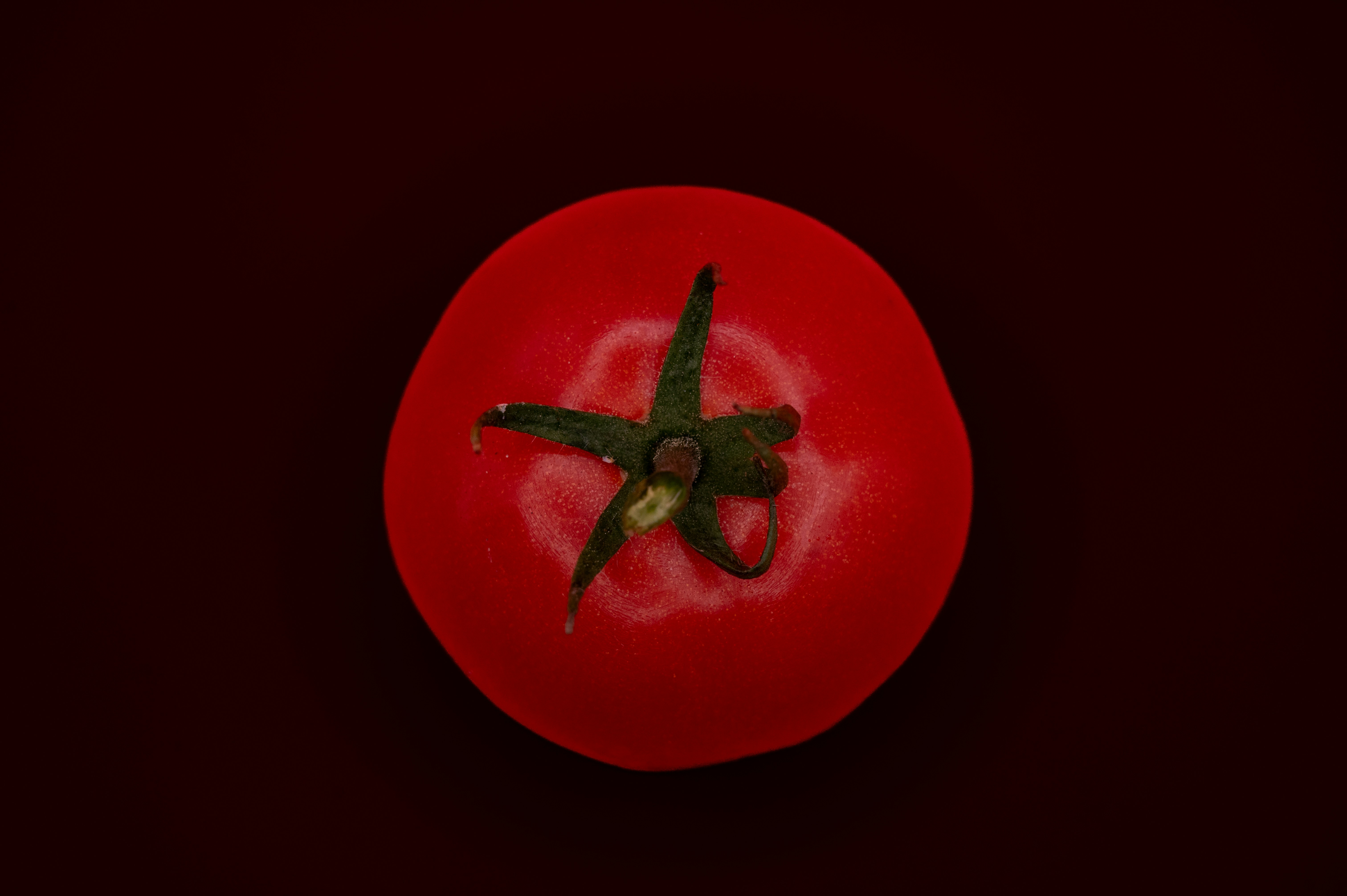 Une lignée de tomates vieille de trente ans s’avère résistante au ToBRFV