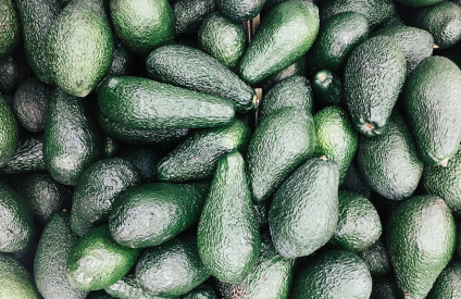 Avocat : le Maroc double ses exportations et signe un record historique en 2024/2025