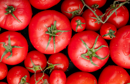 Le secteur roumain de la tomate se tourne vers des emballages à base de fibres