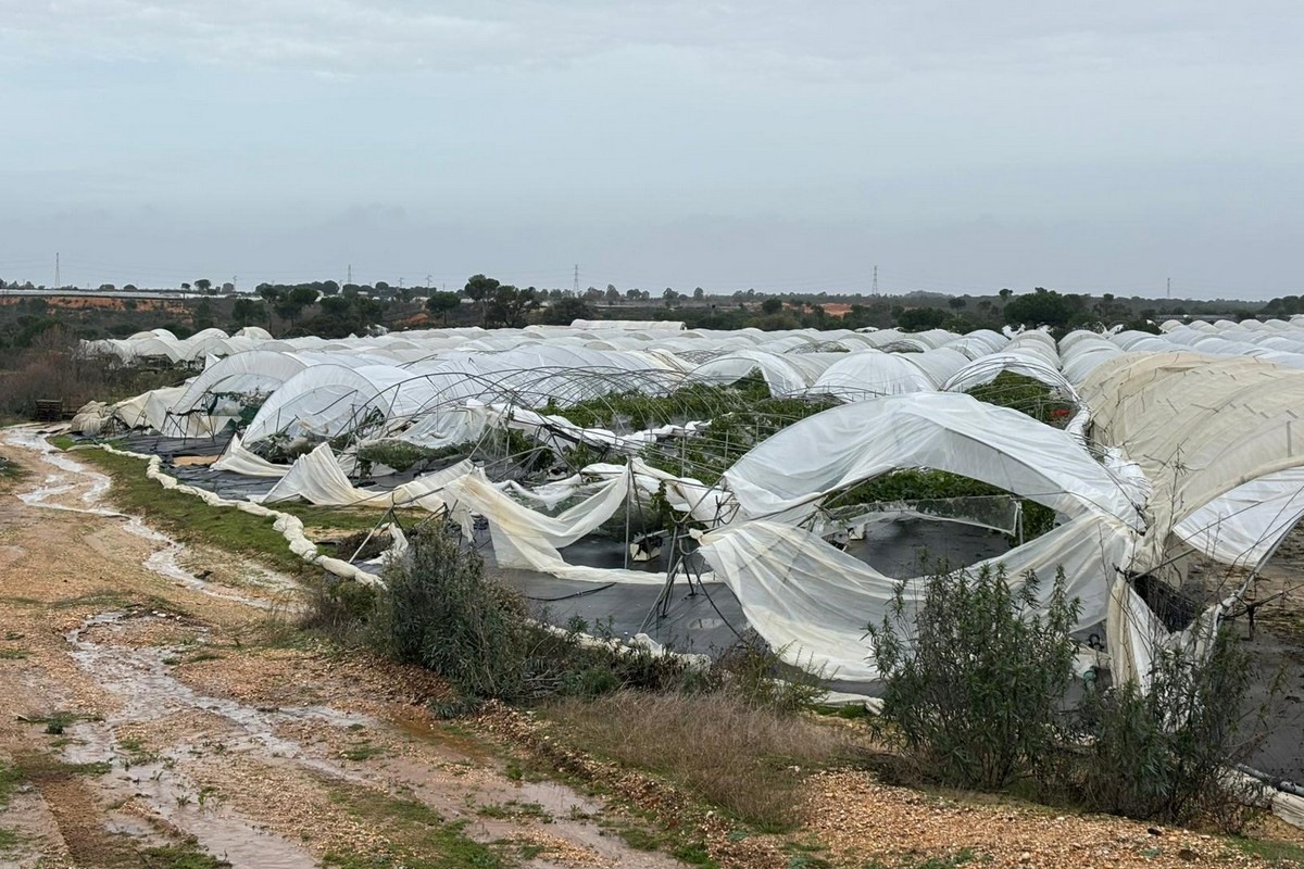 La filière des fruits rouges touchée par la tempête Kristin dans la province espagnole de Huelva