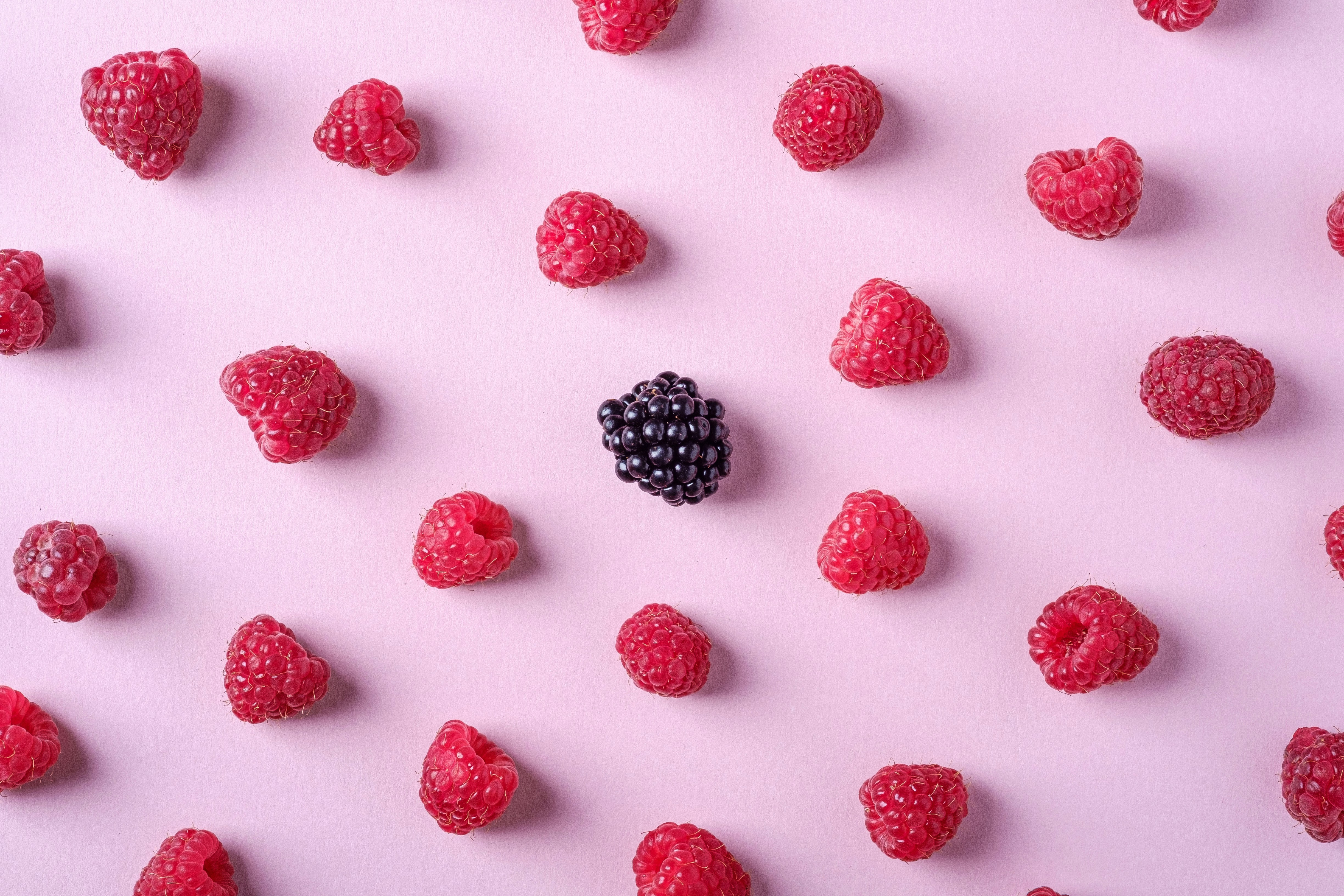 La demande mondiale de fruits rouges devrait continuer à croître malgré les incertitudes