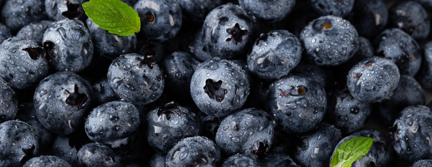 Blueberries are now an elite product; market windows will be decisive