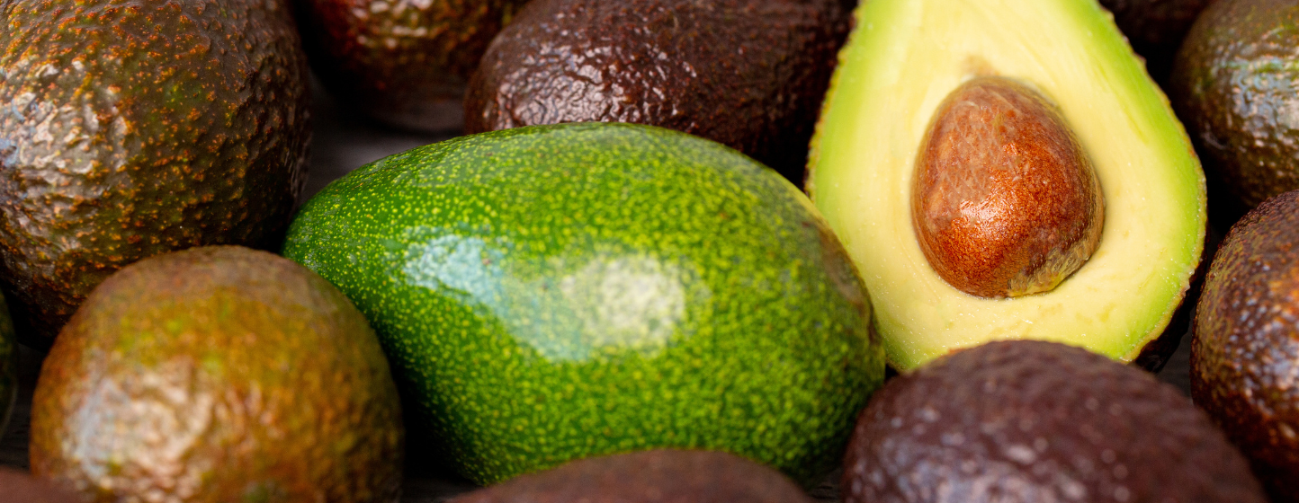 Global Avocado Market – Autumn 2025: Oversupply, Shifting Origins, and Regional Outlooks