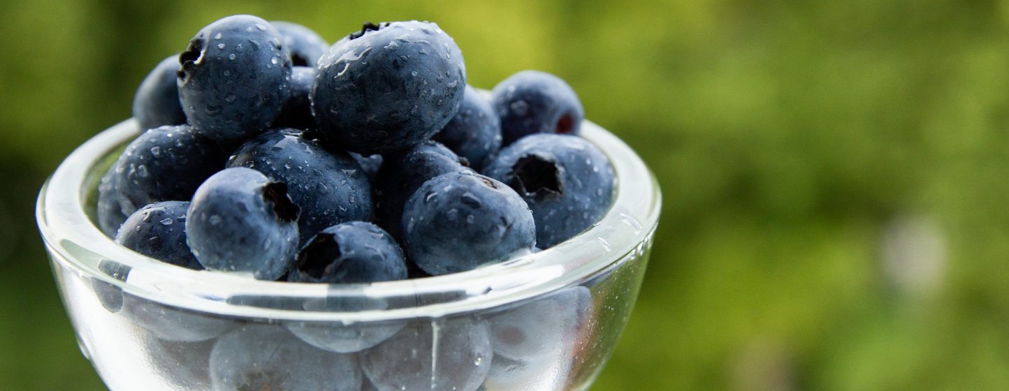 Planasa présente ses variétés de myrtilles au Sommet IBO du Cap