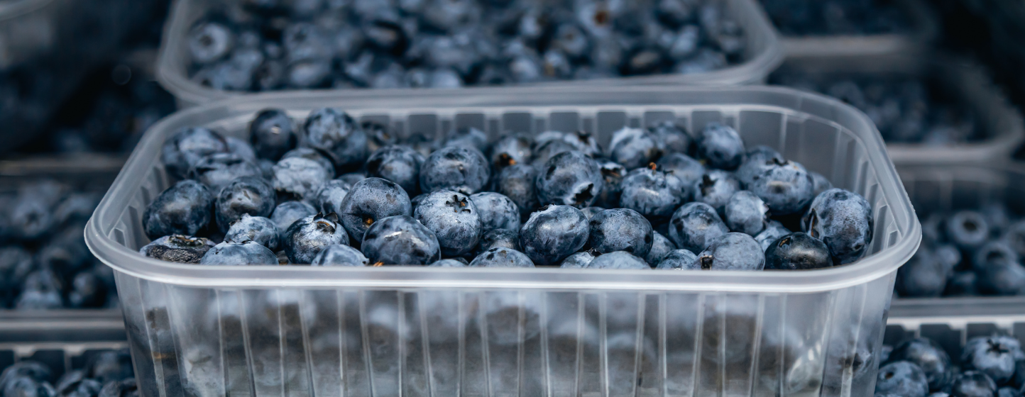 « La production indienne de myrtilles évolue avec des variétés brevetées »