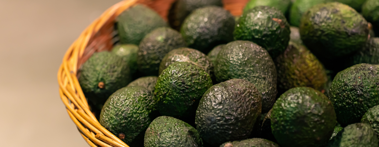 Morocco Ranked 3rd in German Avocado Imports