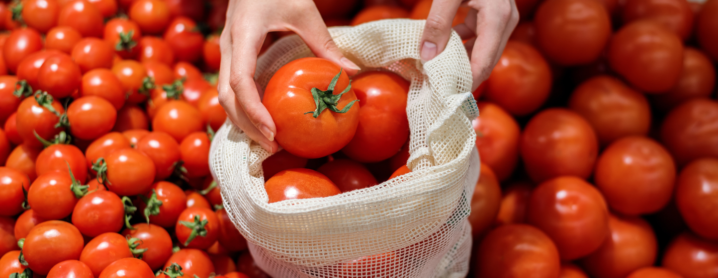 Fresh Tomato Trade Shake-Up: Morocco Overtakes Spain