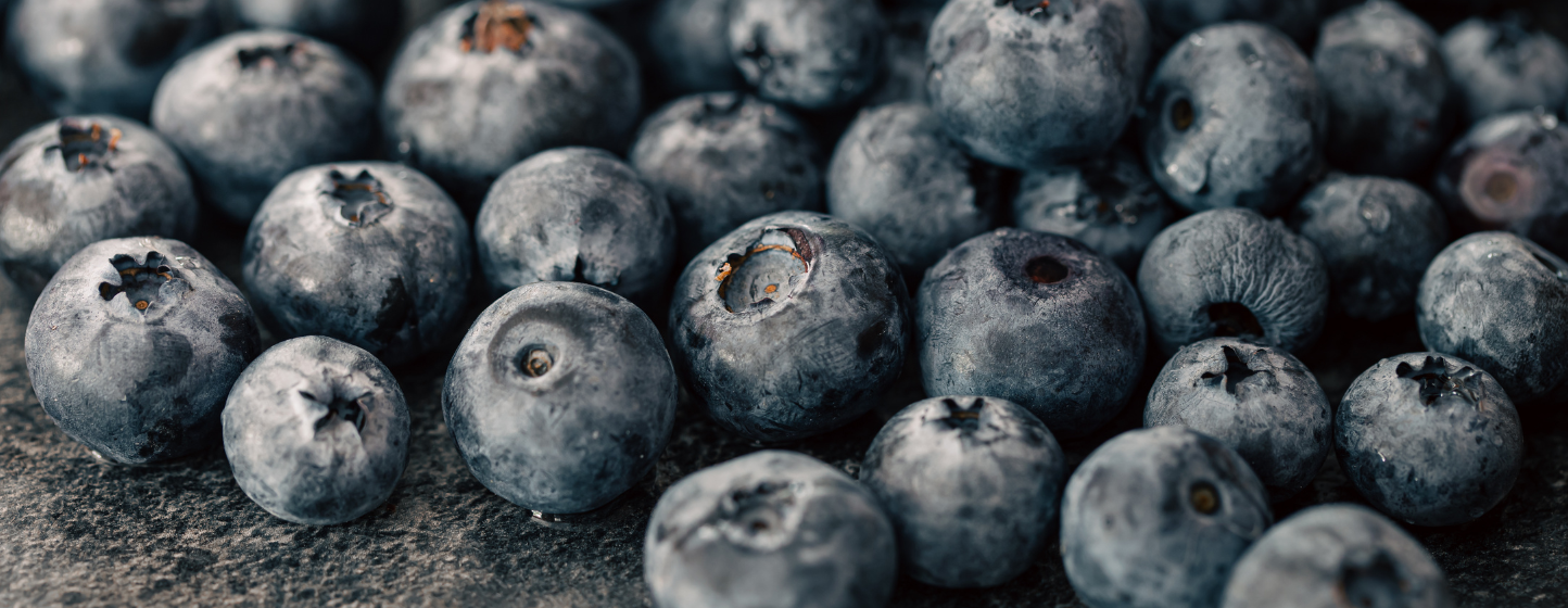 Blueberries Facing Climate-Driven Shifts in Production