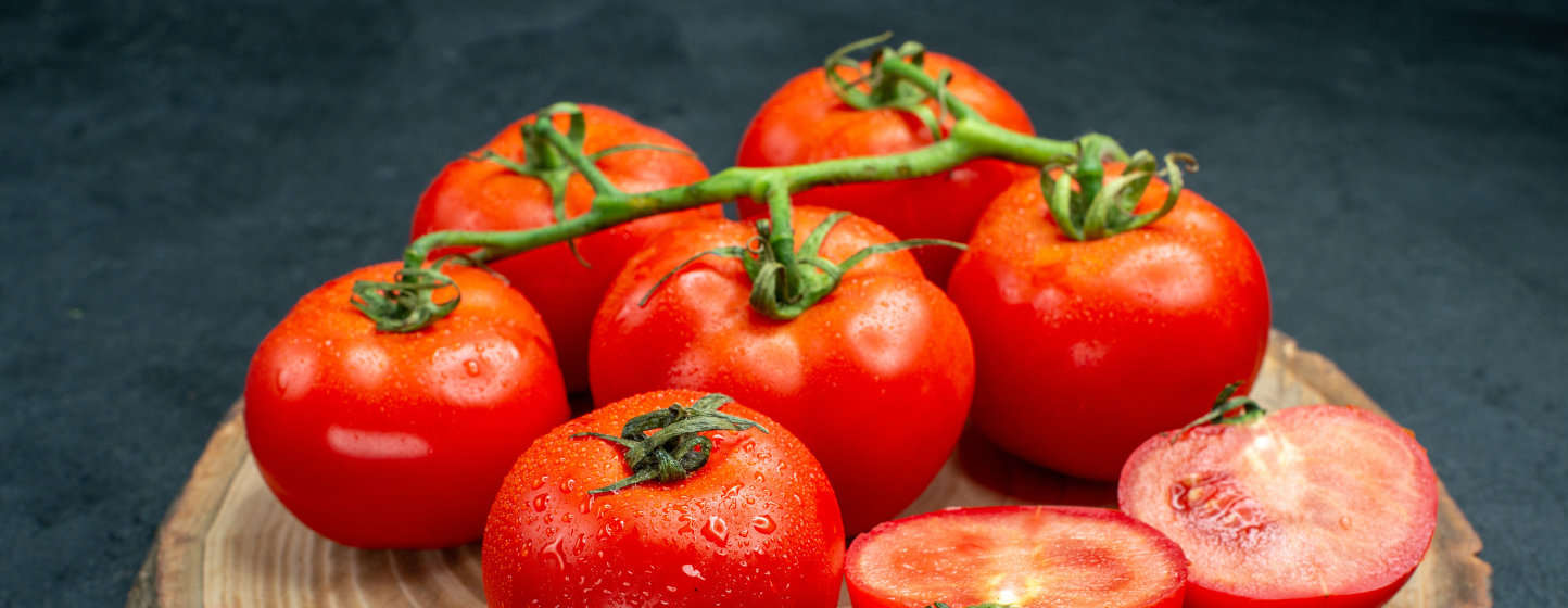 The EU Buys More Tomatoes from Morocco than from Spain