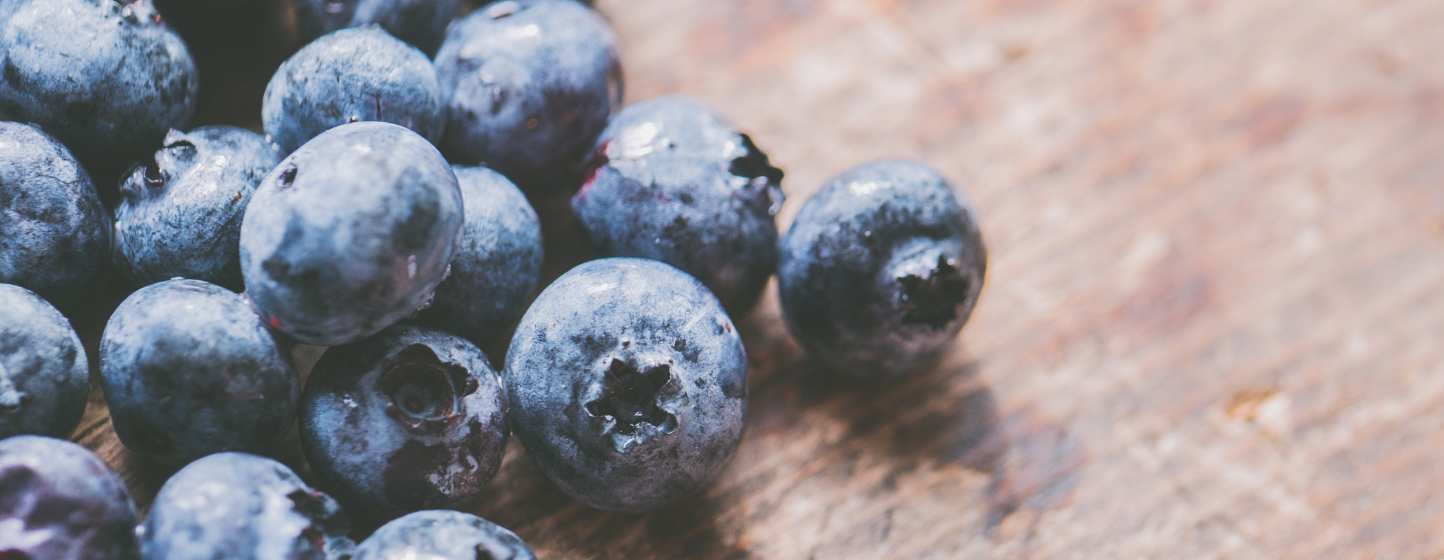 L’Égypte lance une production de myrtilles à grande échelle à Wadi El-Natrun