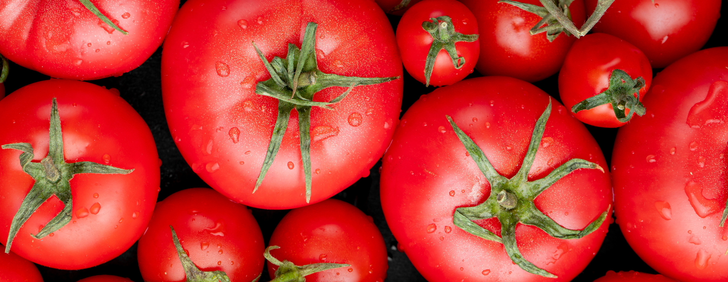 Le secteur roumain de la tomate se tourne vers des emballages à base de fibres