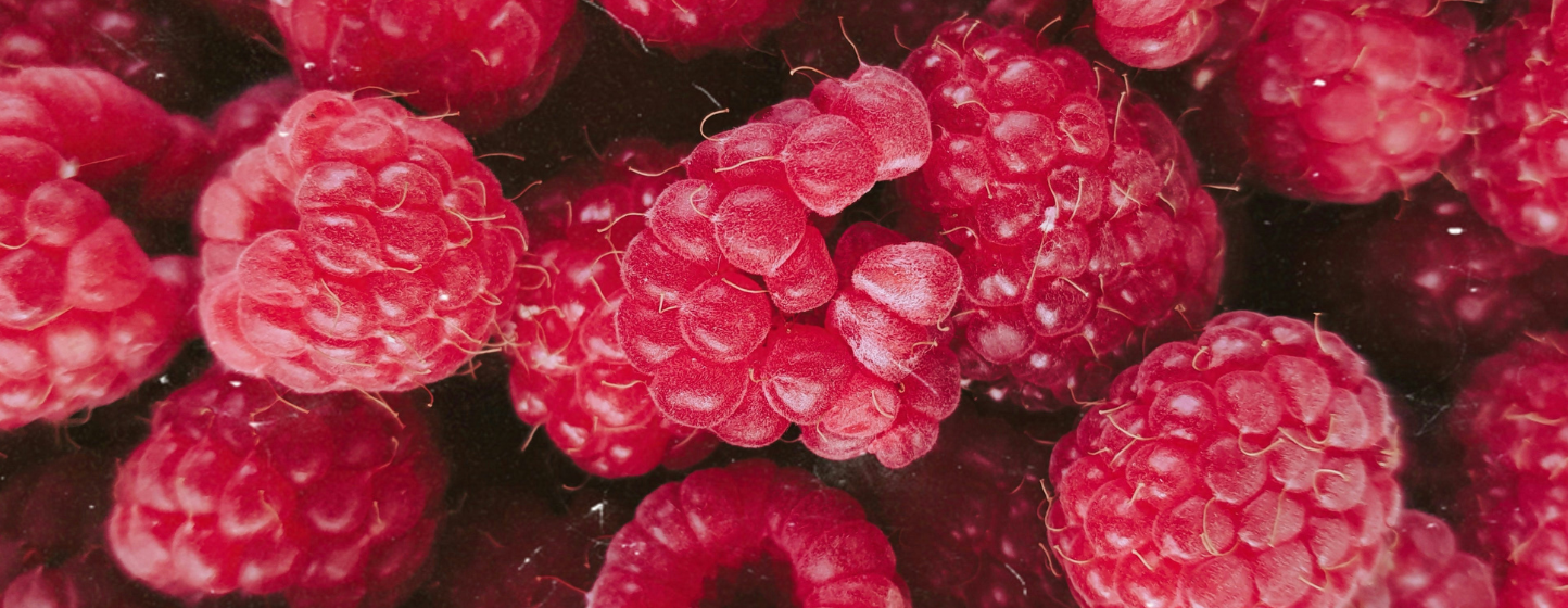 Framboise : un marché mondial sous pression entre climat, logistique et pénurie de main-d’œuvre