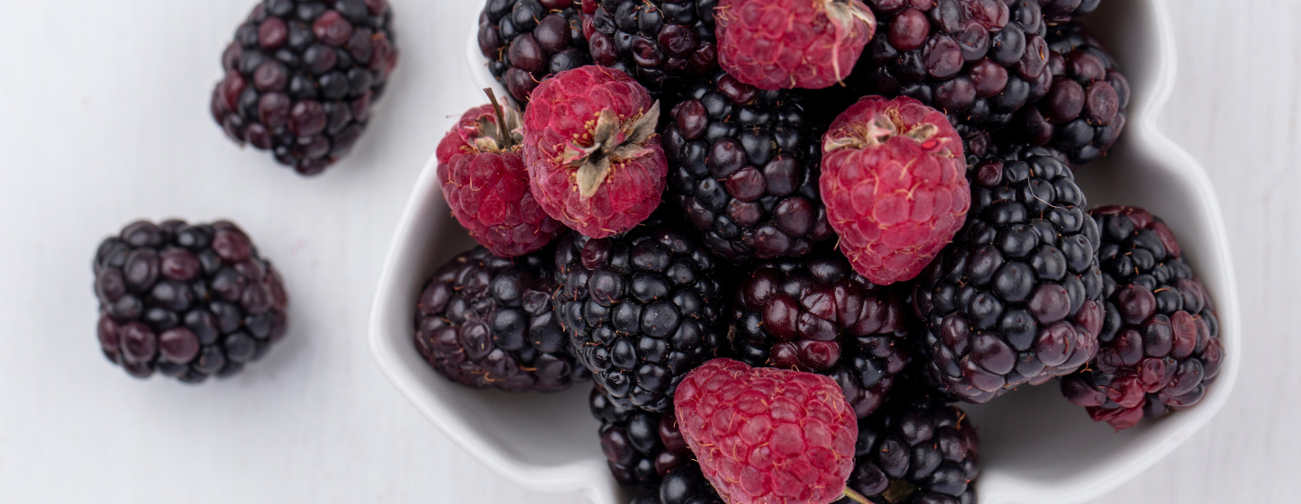 Le Maroc prend la tête du marché norvégien des framboises et mûres en 2025/26