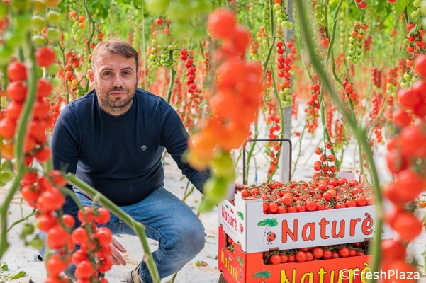 La demande en tomates diminue, tandis que celle en autres produits de serre augmente