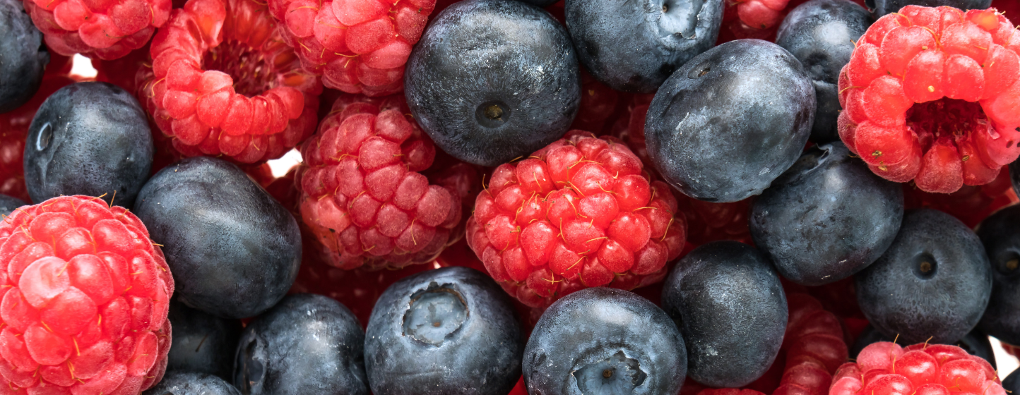 Gaz antimicrobiens et huiles essentielles : une nouvelle piste pour prolonger la durée de conservation des fruits rouges