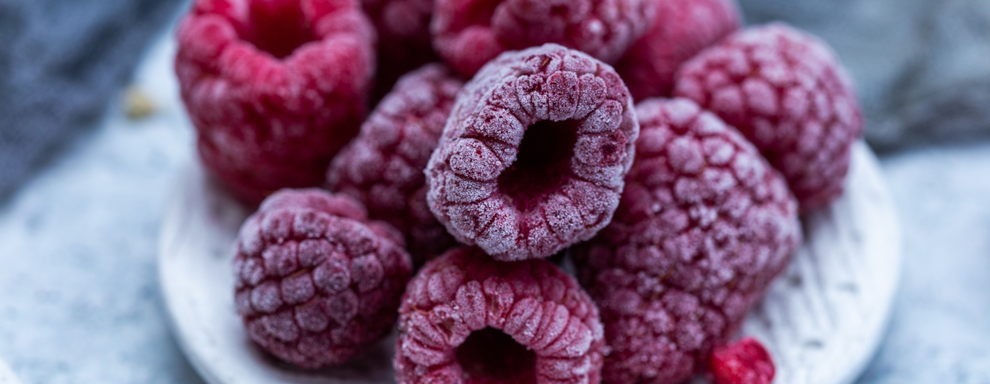Le Maroc enregistre une croissance record sur le marché néerlandais des framboises surgelées