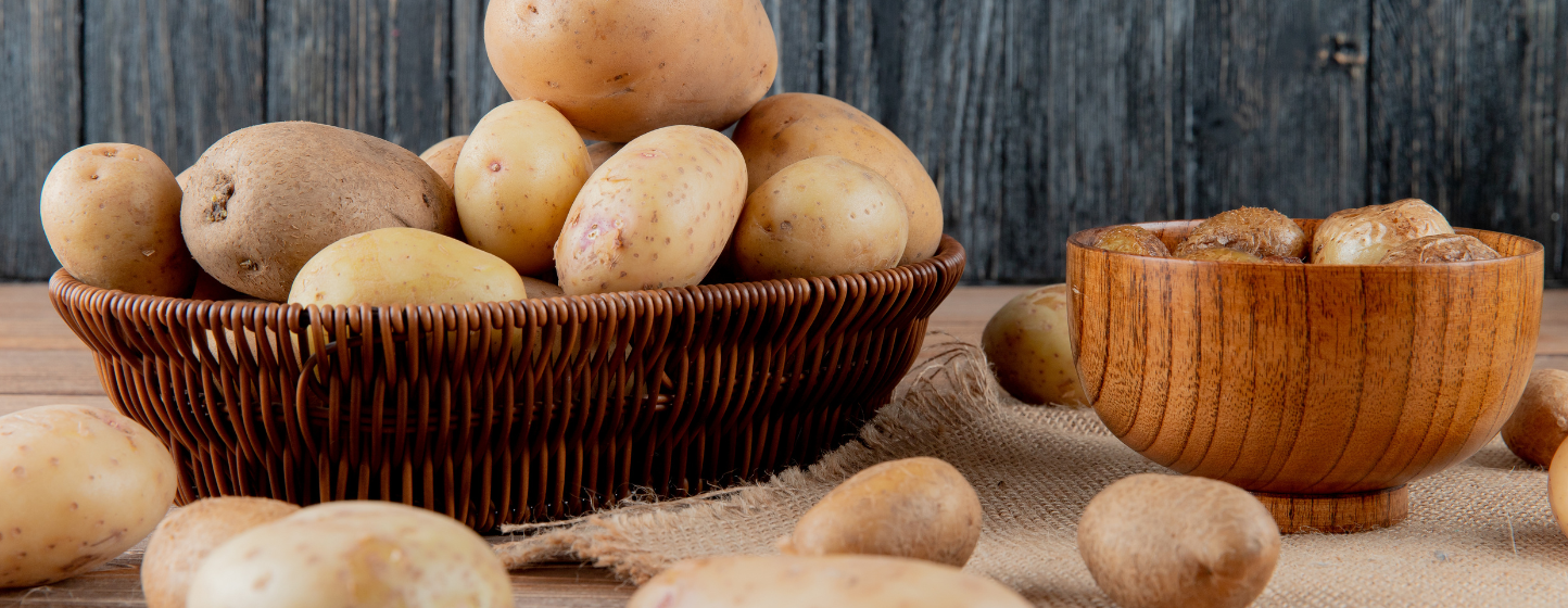 Maroc : les nouvelles récoltes de pommes de terre atténuent la pénurie après les inondations