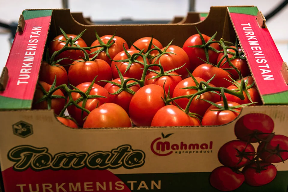 La croissance des serres au Turkménistan s'étend à l'exportation de tomates vers l'Ouzbékistan
