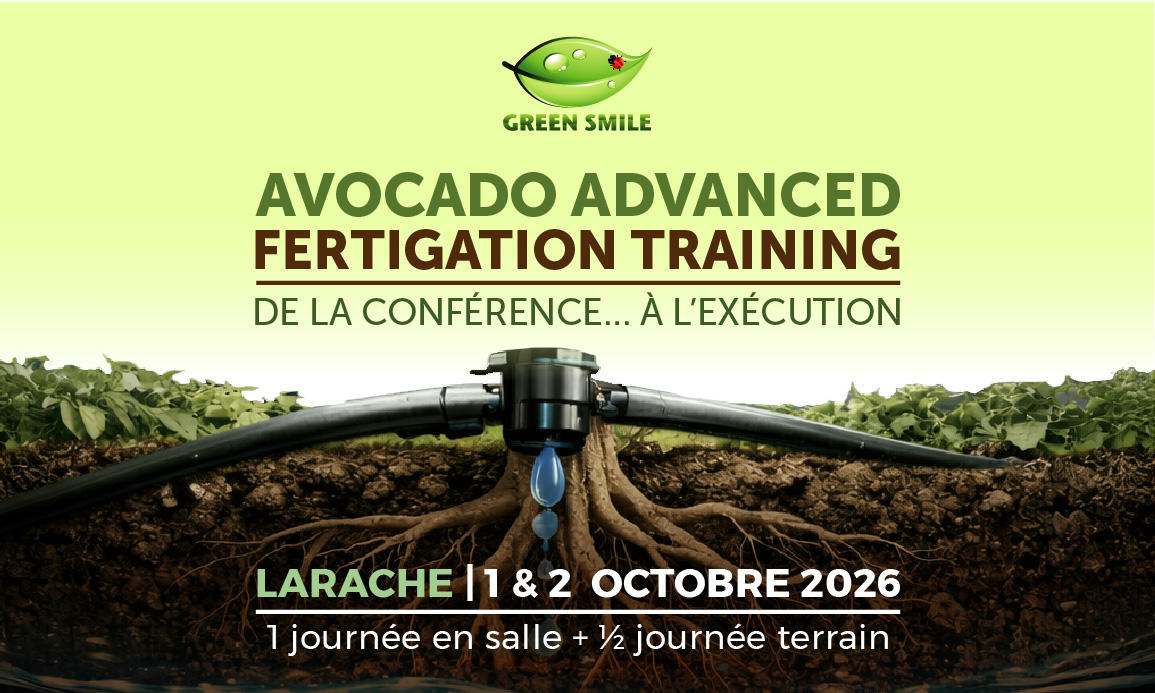 Avocado Advanced Fertigation Training (Formation avancée en fertigation de l’avocatier)