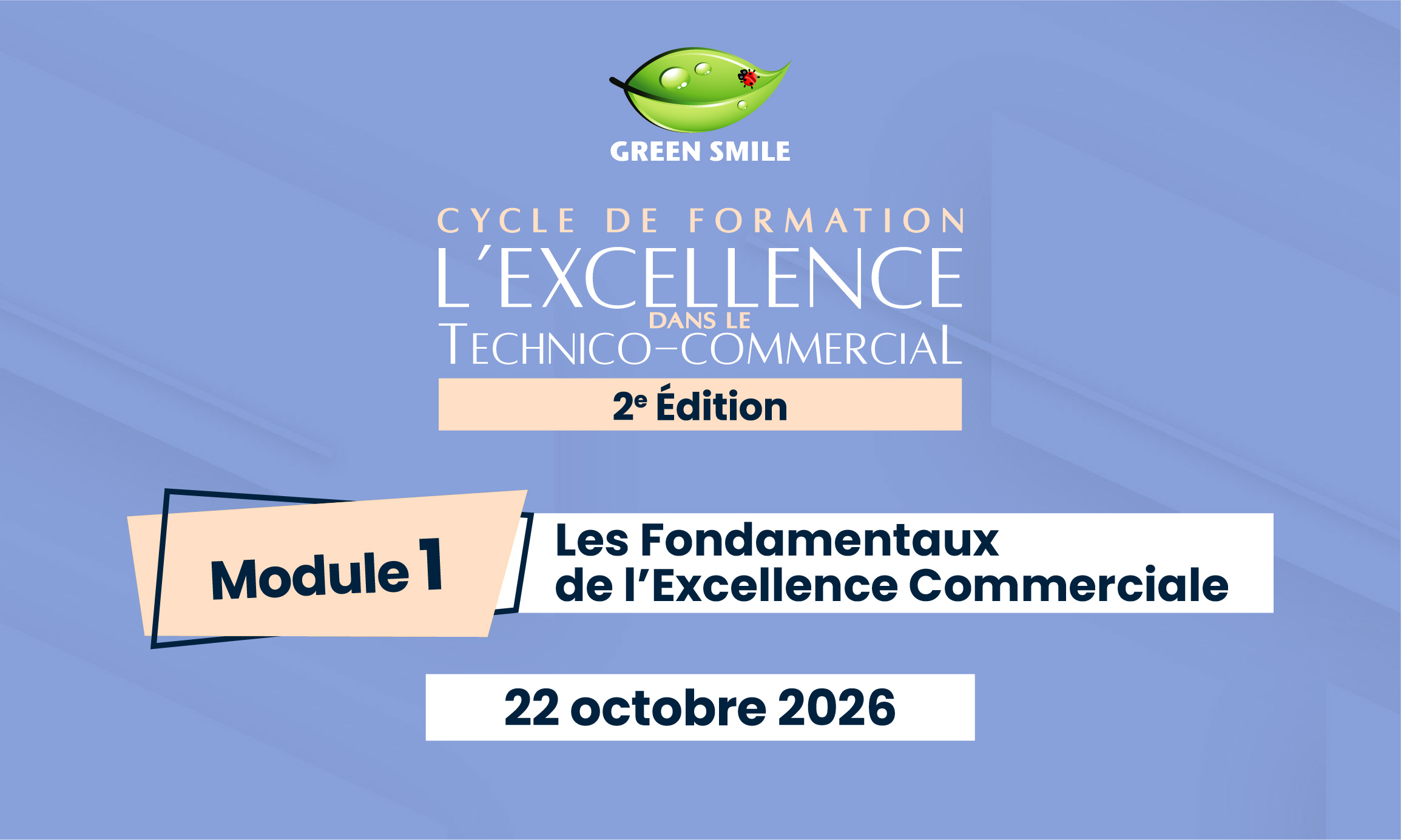 Cycle de formation continue - Module 1 : Fondamentaux de l'excellence commerciale