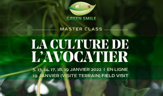 Masterclass : La culture de l'avocat