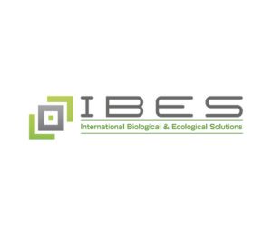 IBES logo