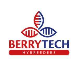 Berrytech logo