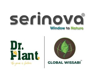 SERINOVA PLASTIK logo