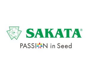 Sakata logo